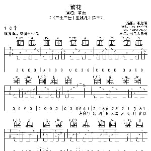 繁花 吉他谱 董贞 张路明