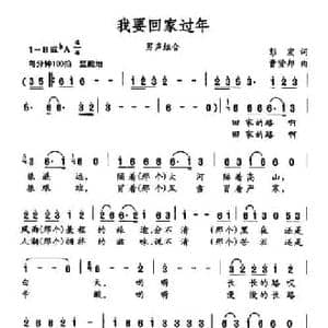 我要回家过年_民歌简谱_词曲:彭宏 曹贤邦
