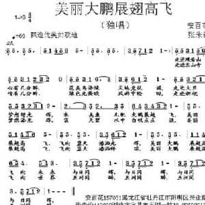 美丽大鹏展翅高飞_民歌简谱_词曲:安百花 黄清林