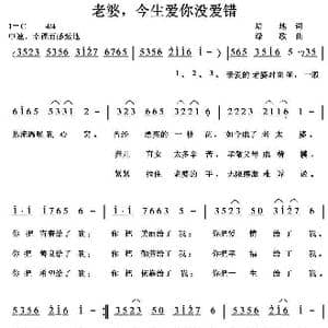 老婆,今生爱你没爱错_歌曲简谱_词曲:培地 绿歌