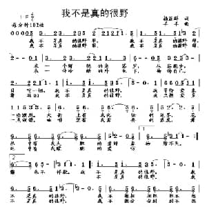 我不是真的很野_通俗唱法乐谱_词曲:杨显群 杨铭