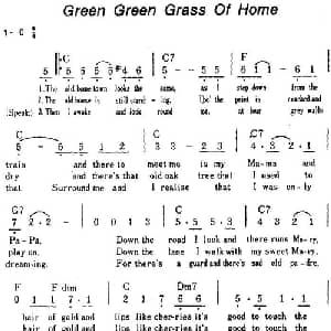 Green Green Grass Of Home 美国 _外国歌谱