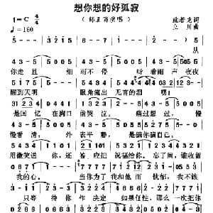 想你想得好孤寂_通俗唱法乐谱_词曲:姚若龙 立川