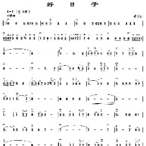 二胡谱 | 好日子 李昕