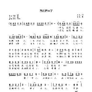 真的情未了_歌曲简谱_词曲:袁龙 袁龙