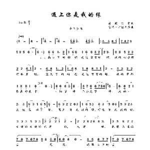 遇上你是我的缘_歌曲简谱_词曲:昂旺文章 宗巴 才仁巴桑