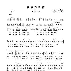 梦中等着你_歌曲简谱_词曲:音乐走廊 王宝山 音乐走廊 王宝山