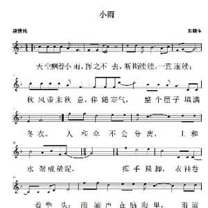 小雨_歌曲简谱_词曲:陈鹏伟 陈鹏伟