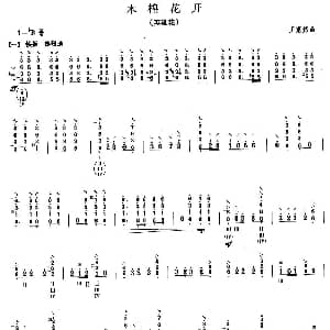 柳琴考级曲目八级 木棉花开 英雄花 王惠然