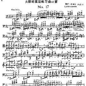 大提琴高级练习曲40首 No.17 戴维 波帕尔