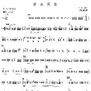 碧水芙蓉 高胡 吕文成