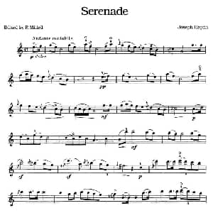 小提琴谱 | SERENADE 小夜曲 海顿作曲版