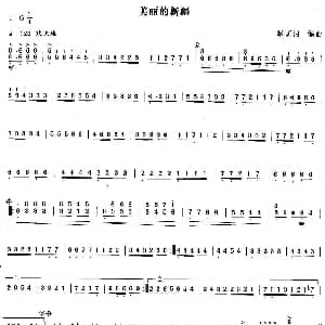 扬琴谱 | 美丽的新疆 赵荫河