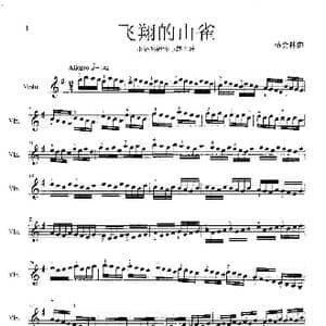 飞翔的山雀_歌曲简谱_词曲: 杨会林曲