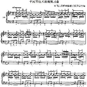 手风琴谱 | 手风琴技术训练练习曲 19 全国高等师范院校手风琴学会编