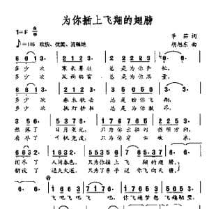 为你插上飞翔的翅膀_歌谱投稿_词曲:辛筎 胡旭东
