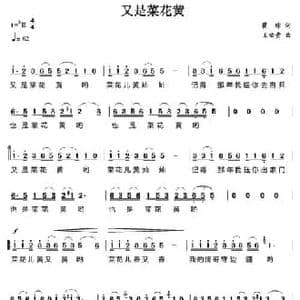 又是菜花黄_民歌简谱_词曲:瞿琮 王佑贵