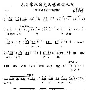 秦腔 毛主席把阳光雨露洒满人间 龙江颂 盼水妈唱段