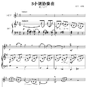小提琴谱 | B小调协奏曲第二乐章 小提琴 钢琴