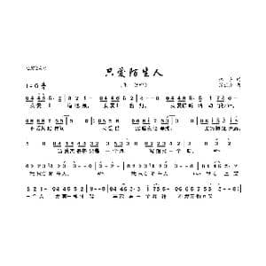 只爱陌生人_歌曲简谱_词曲:林夕 张亚东