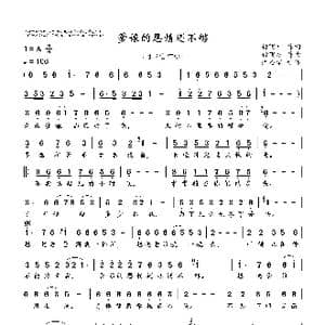 爹娘的恩情还不够_歌谱投稿_词曲:付飞社 付飞社