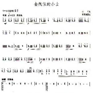 金瓶似的小山 柳琴谱 冰河