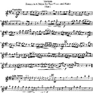 长笛曲谱 | 台莱曼A大调双长笛与钢琴奏鸣曲 Telemann 台莱曼