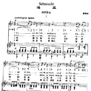 Sehnsucht_外国歌谱