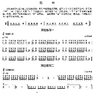 葫芦丝谱 | 葫芦丝基本技巧练习曲 双吐