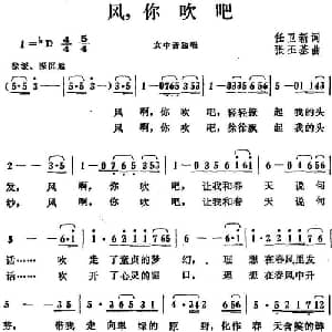 风,你吹吧_美声唱法乐谱_词曲:任伟新 张丕基