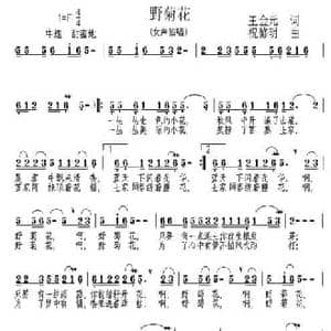 野菊花_民歌简谱_词曲:王金元 祝修明