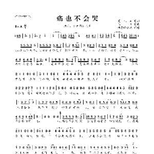 ​痛也不会哭_歌曲简谱_词曲:夏元元 王飞