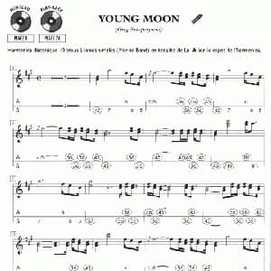 口琴谱 | young moon