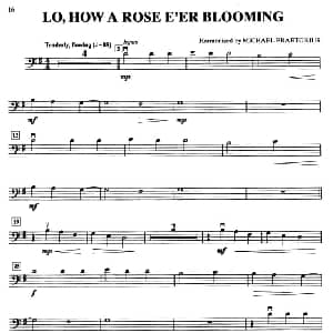 LO,HOW A ROSE E'ER BLOOMING 大提琴分谱