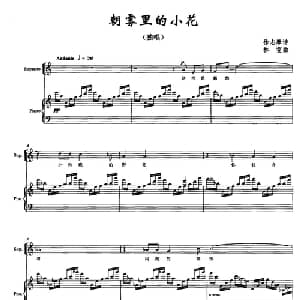 朝雾里的小花_美声唱法乐谱_词曲:徐志摩 林雯