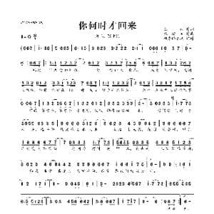 ​你何时才回来_歌曲简谱_词曲:王纯 张瀚元