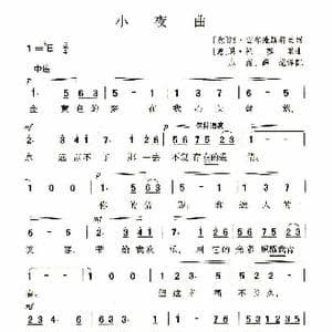 伤感小夜曲_歌谱投稿