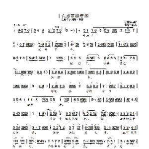 十六岁花样年华_歌曲简谱