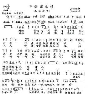 半袋花生情_歌谱投稿_词曲:王心田 王心田