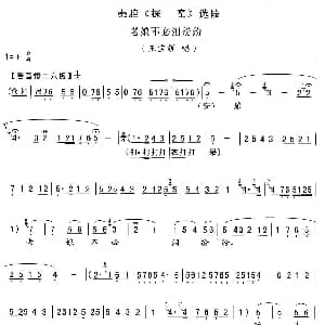 秦腔 老娘亲不必泪纷纷 探窑 王宝钏唱段
