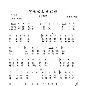 可爱的白衣姑娘_歌曲简谱_词曲:王远飞 王远飞