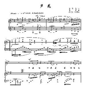 芦花_歌曲简谱_词曲:贺东久 印青