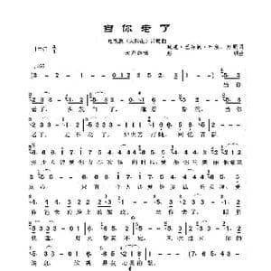 当你老了_歌曲简谱_词曲:威廉 巴特勒 叶慈 赵照 赵照