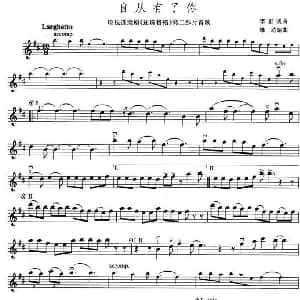 小提琴谱 | 自从有了你 电视剧 还珠格格2 片首歌 李正帆
