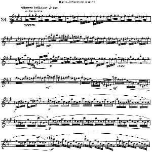 长笛曲谱 | 胡埃斯24首长笛练习曲Op.32 NO.24 胡埃斯