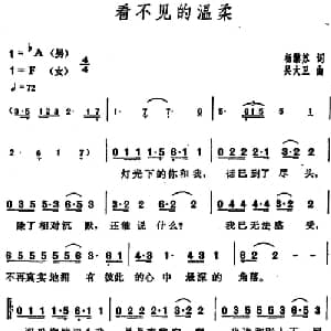 看不见的温柔_通俗唱法乐谱_词曲:杨黎苏 吴大卫