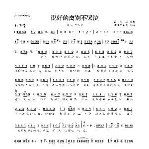 ​说好的离别不哭泣_歌曲简谱_词曲:徐羽泽 徐羽泽