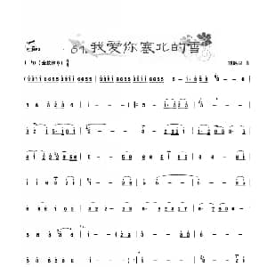 葫芦丝谱 | 葫芦丝曲精选 我爱你在北的雪 刘锡津曲 王甲坤 王甲华编著