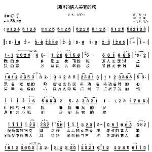 湖畔的情人美丽的城_歌曲简谱_词曲:沐寒 绍兵