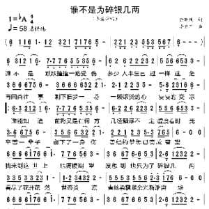 谁不是为碎银几两_歌曲简谱_词曲:徐晓岚 李勇军